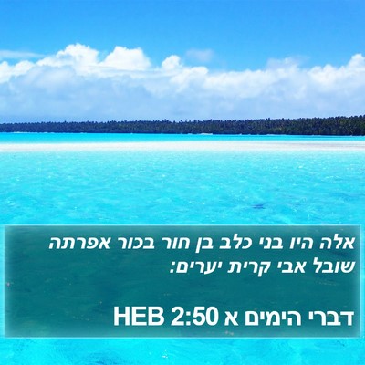 דברי הימים א 2:50 HEB Bible Verse Image