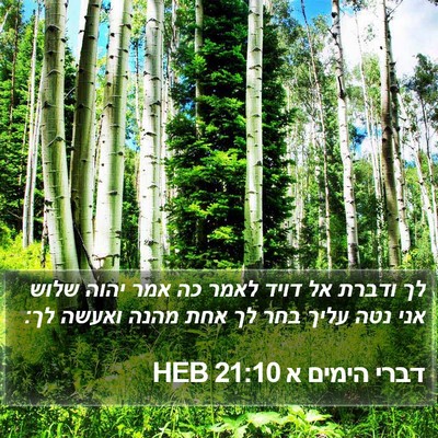 דברי הימים א 21:10 HEB Bible Verse Image
