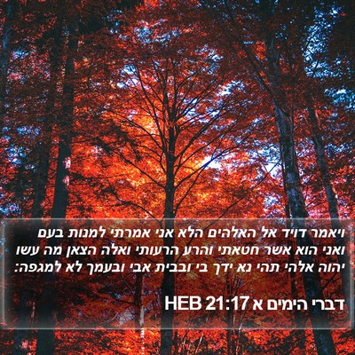 דברי הימים א 21:17 HEB Bible Verse Image