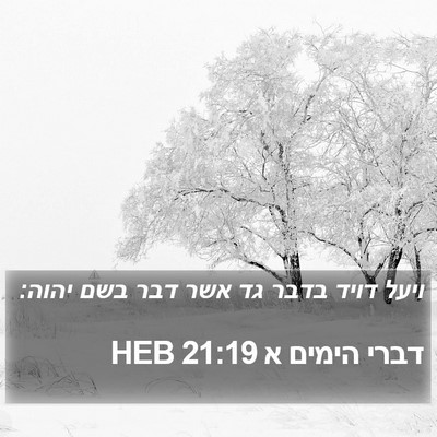 דברי הימים א 21:19 HEB Bible Verse Image