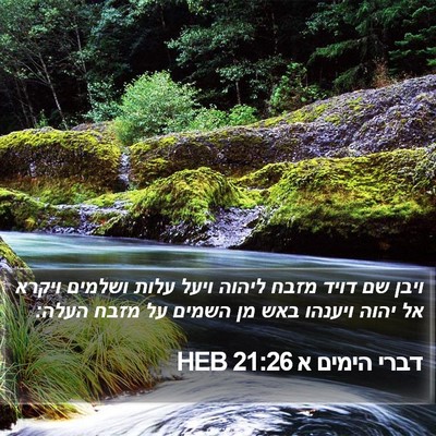 דברי הימים א 21:26 HEB Bible Verse Image
