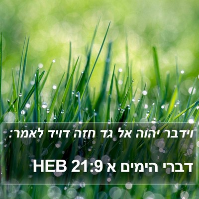 דברי הימים א 21:9 HEB Bible Verse Image