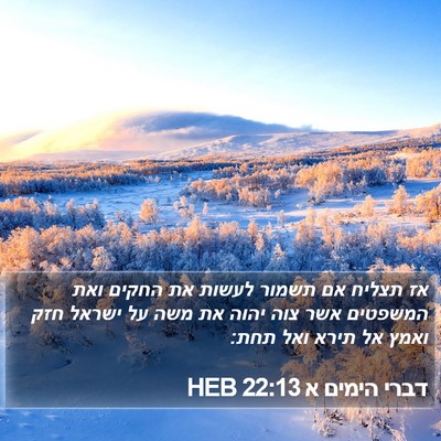 דברי הימים א 22:13 HEB Bible Verse Image