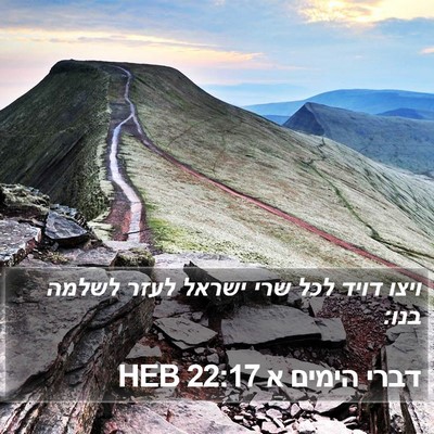 דברי הימים א 22:17 HEB Bible Verse Image