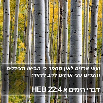 דברי הימים א 22:4 HEB Bible Verse Image