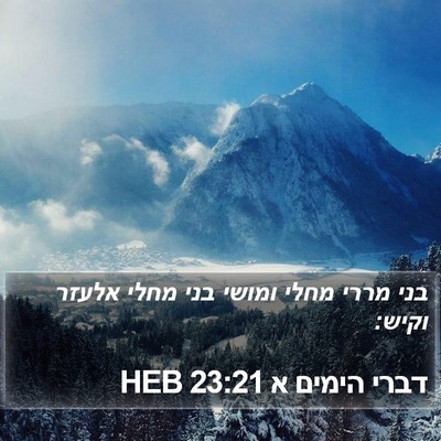 דברי הימים א 23:21 HEB Bible Verse Image