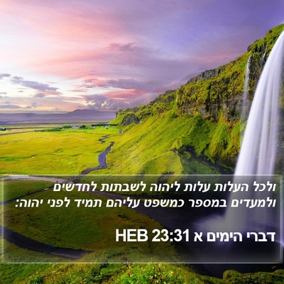 דברי הימים א 23:31 HEB Bible Verse Image