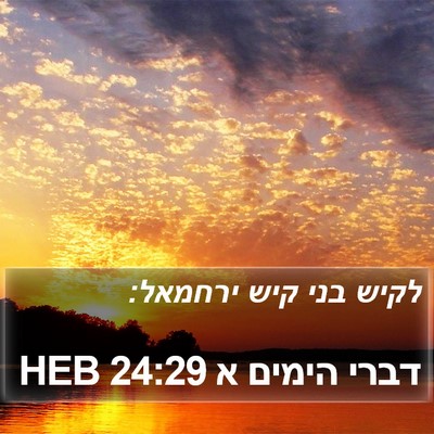 דברי הימים א 24:29 HEB Bible Verse Image