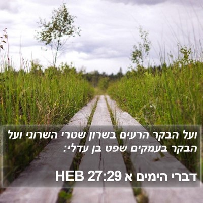 דברי הימים א 27:29 HEB Bible Verse Image