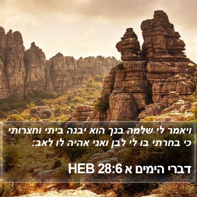 דברי הימים א 28:6 HEB Bible Verse Image