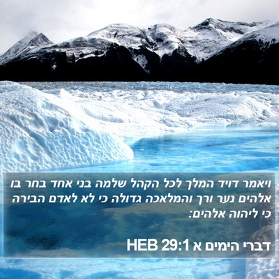 דברי הימים א 29:1 HEB Bible Verse Image