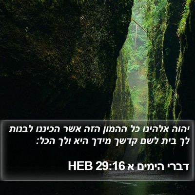 דברי הימים א 29:16 HEB Bible Verse Image