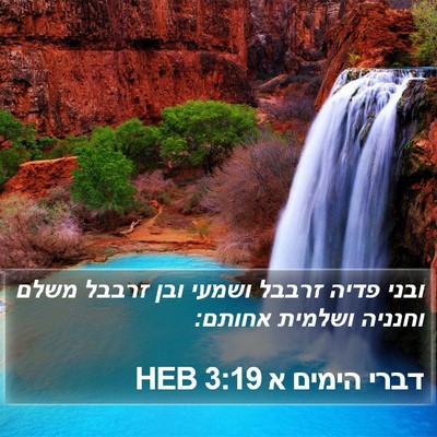 דברי הימים א 3:19 HEB Bible Verse Image