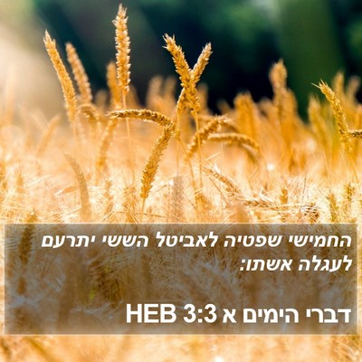 דברי הימים א 3:3 HEB Bible Verse Image
