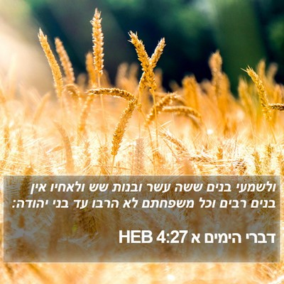 דברי הימים א 4:27 HEB Bible Verse Image
