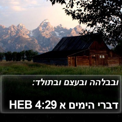 דברי הימים א 4:29 HEB Bible Verse Image