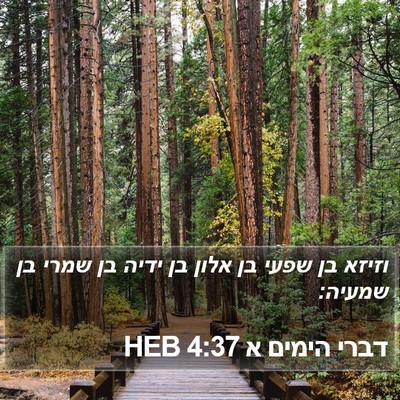 דברי הימים א 4:37 HEB Bible Verse Image