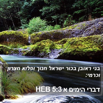 דברי הימים א 5:3 HEB Bible Verse Image