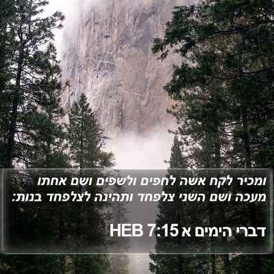 דברי הימים א 7:15 HEB Bible Verse Image