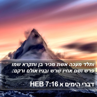 דברי הימים א 7:16 HEB Bible Verse Image