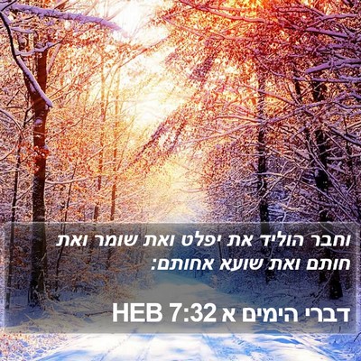 דברי הימים א 7:32 HEB Bible Verse Image