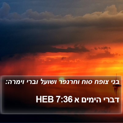 דברי הימים א 7:36 HEB Bible Verse Image