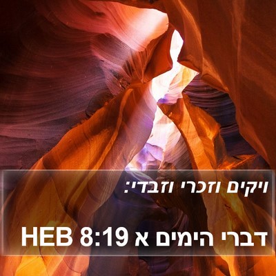 דברי הימים א 8:19 HEB Bible Verse Image
