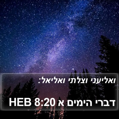 דברי הימים א 8:20 HEB Bible Verse Image