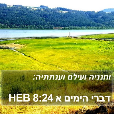 דברי הימים א 8:24 HEB Bible Verse Image