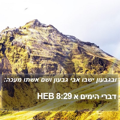 דברי הימים א 8:29 HEB Bible Verse Image