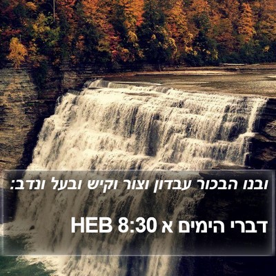 דברי הימים א 8:30 HEB Bible Verse Image