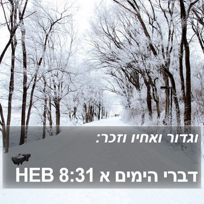 דברי הימים א 8:31 HEB Bible Verse Image