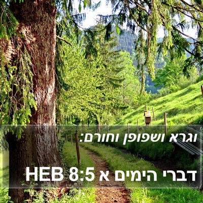 דברי הימים א 8:5 HEB Bible Verse Image
