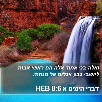 דברי הימים א 8:6 HEB Bible Verse Image