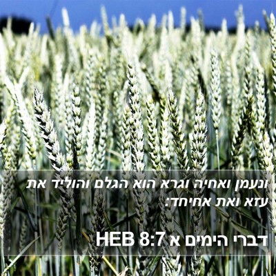 דברי הימים א 8:7 HEB Bible Verse Image