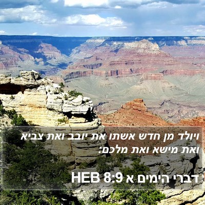 דברי הימים א 8:9 HEB Bible Verse Image