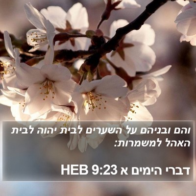 דברי הימים א 9:23 HEB Bible Verse Image