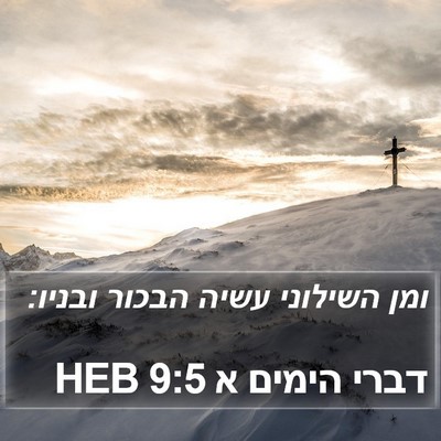 דברי הימים א 9:5 HEB Bible Verse Image