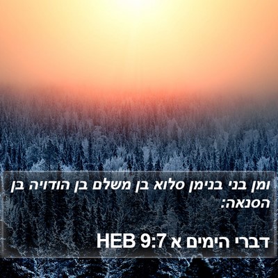 דברי הימים א 9:7 HEB Bible Verse Image