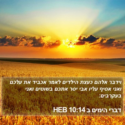דברי הימים ב 10:14 HEB Bible Verse Image