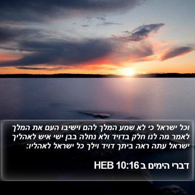 דברי הימים ב 10:16 HEB Bible Verse Image