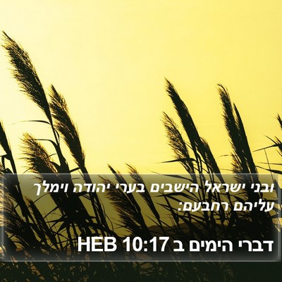 דברי הימים ב 10:17 HEB Bible Verse Image