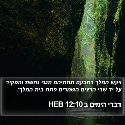דברי הימים ב 12:10 HEB Bible Verse Image