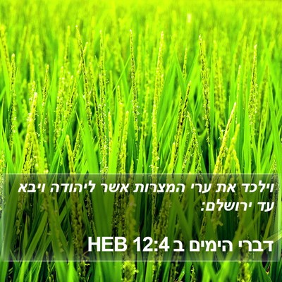 דברי הימים ב 12:4 HEB Bible Verse Image
