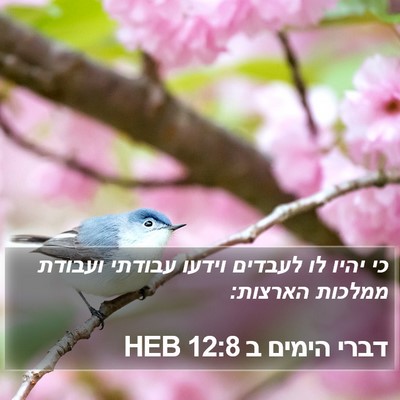 דברי הימים ב 12:8 HEB Bible Verse Image