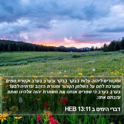 דברי הימים ב 13:11 HEB Bible Verse Image