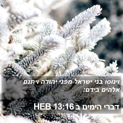 דברי הימים ב 13:16 HEB Bible Verse Image