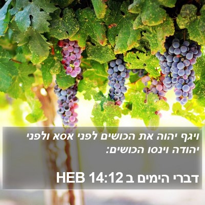 דברי הימים ב 14:12 HEB Bible Verse Image