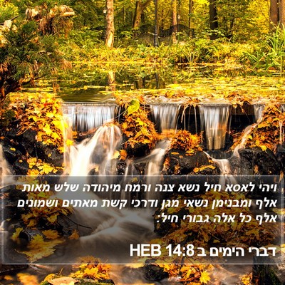 דברי הימים ב 14:8 HEB Bible Verse Image