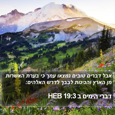 דברי הימים ב 19:3 HEB Bible Verse Image